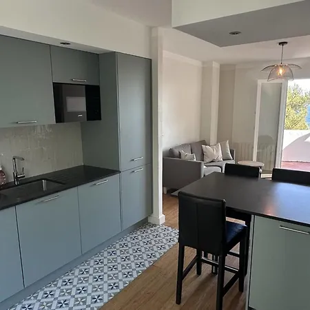 Apartment 3p With Terrace Facing The Sea